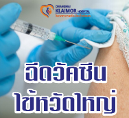 ฉีดวัคซีนไข้หวัดใหญ่ ประจำปี 2567